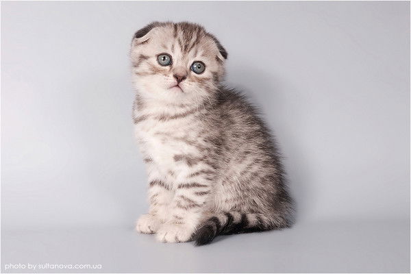 Людмила Третьякова