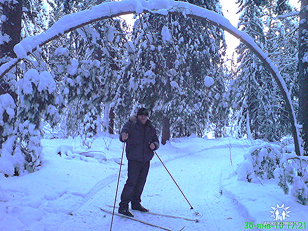 Александр Шастин