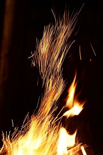 Пашок Толпыгин