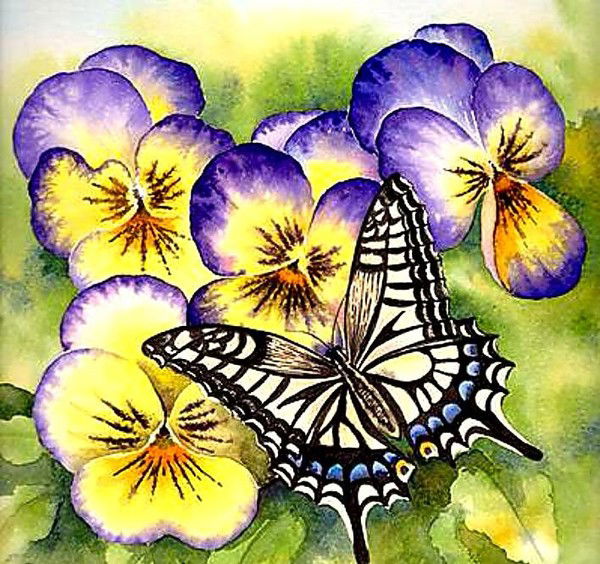 Анна Горбуненко