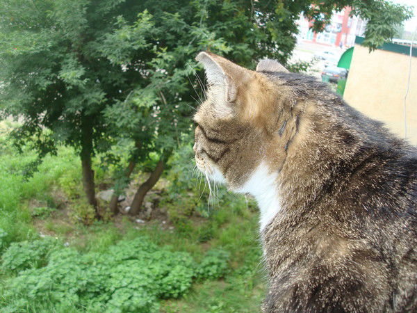 Юрий Золотилин