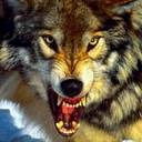 Роман Цицульников