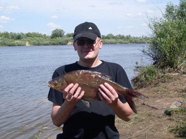 Евгений Шкредов