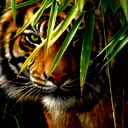 Вадим Вадим