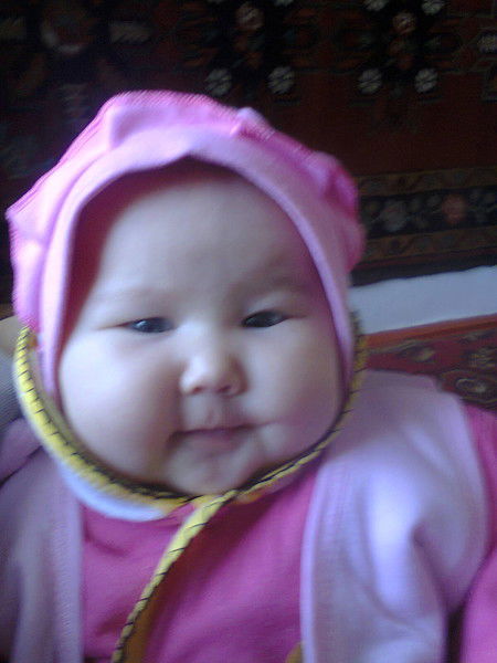 ****************** ******************