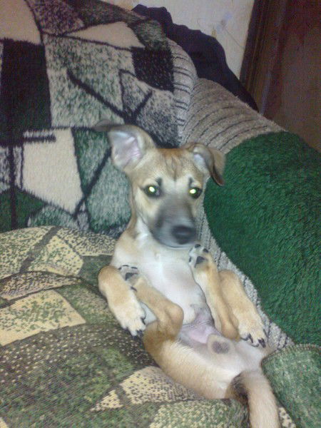 Ирина Пескова