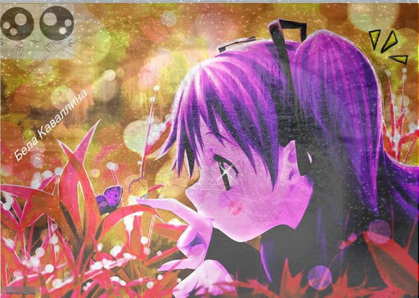 Бела Каваллина