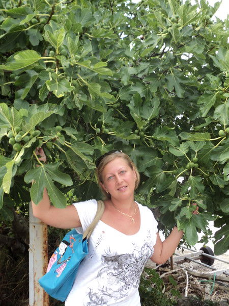 Елена Диченкова