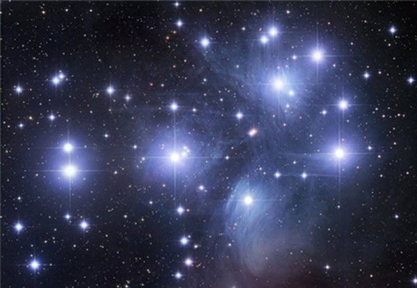 Сурая Крапивина