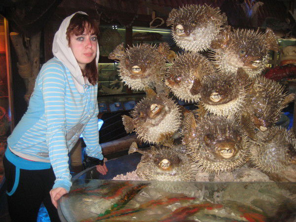 Анастасия Шушурина