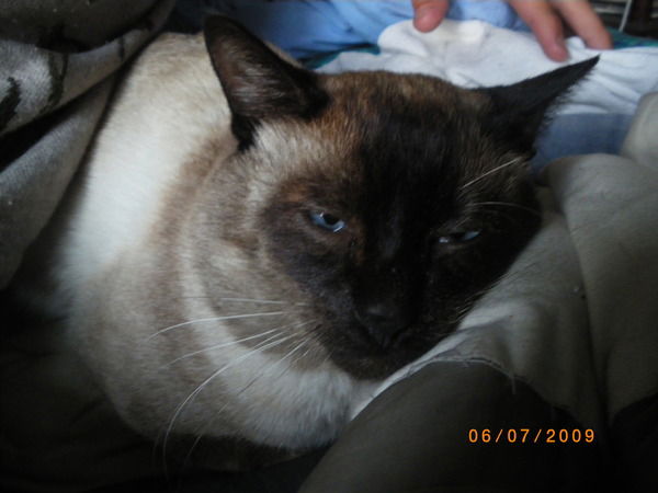 Зильман Анна