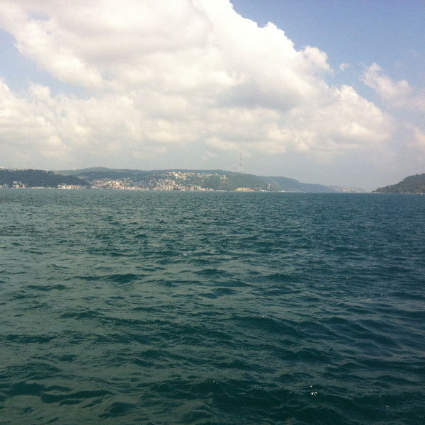 Ирина Артёменко