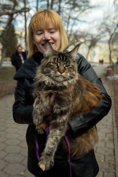 О*кей Позитив