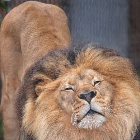 Сергей Серый