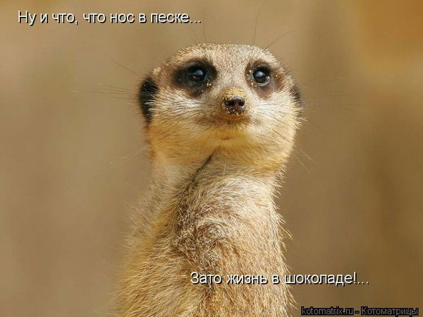 Наталия Федотова