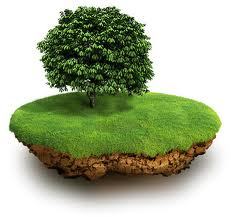 Озиио Транспроект