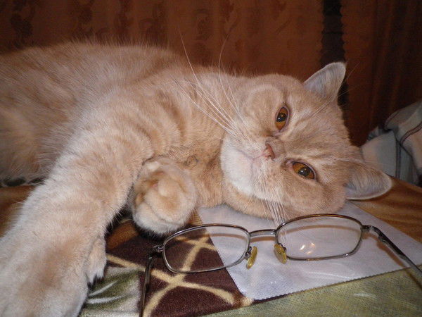 Елена Гусева