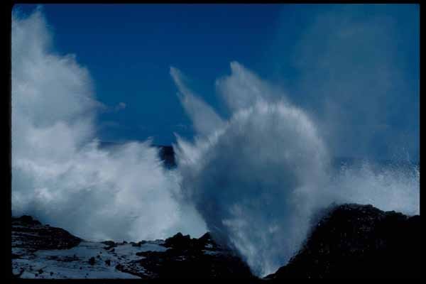 Айгуль Талыпова