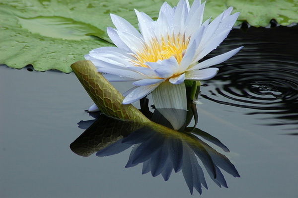 Валентина Назарова