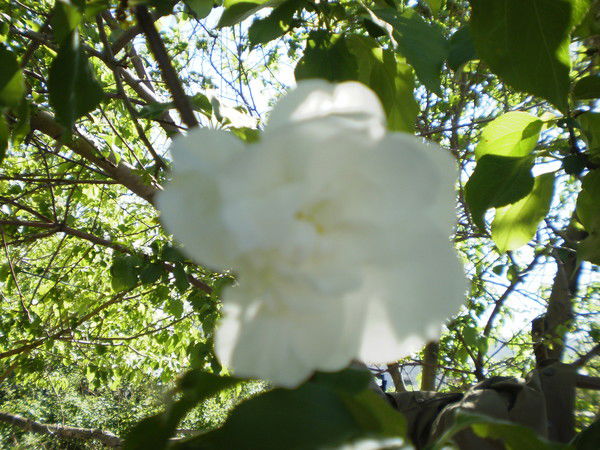 Роза Галиулина