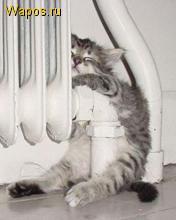 Валерия Киселева