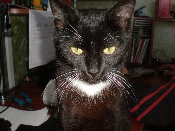 Дима Тихоненко