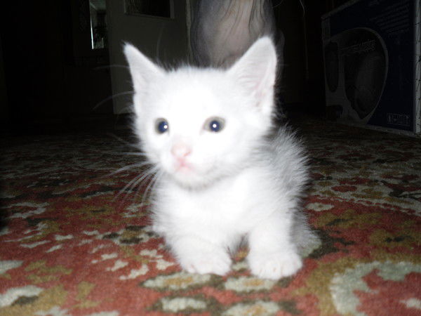 Владимир Михайлович