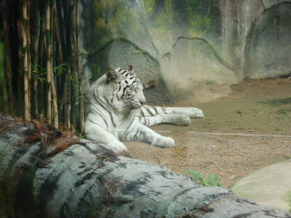 Ольга Федорова