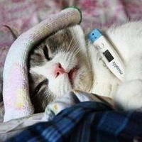 Софья Изюмова