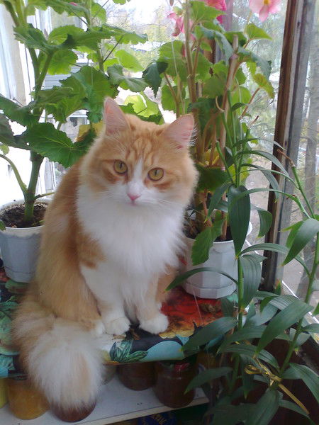 Любовь Матвейчук