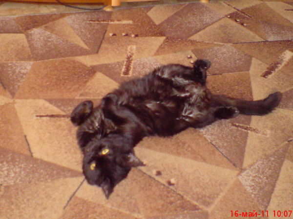 Евгений Кнышов