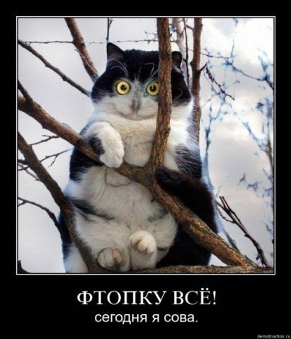 Ирина Старкова