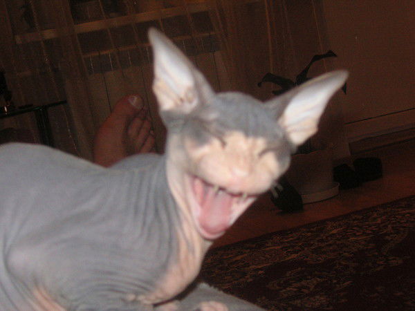 Рушат Нурисламов