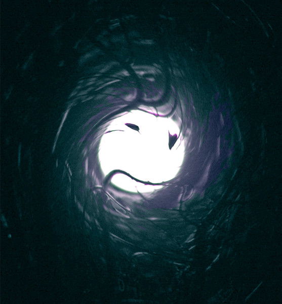 Светлана Песоцкая