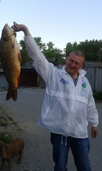 Евгений Макареня