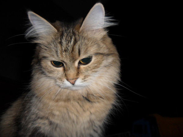 Валентина Смышляева