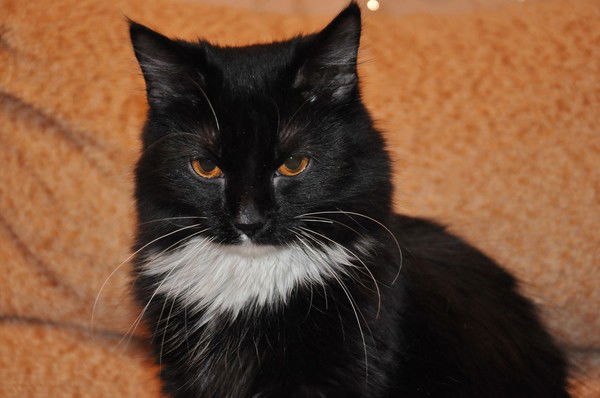 Ольга Александровна