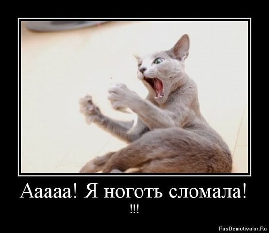 Неонилла Вересова