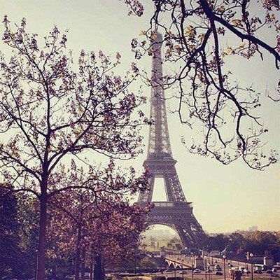 Юлия Ворошкевич