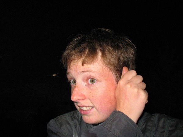 Анастасия Торицына