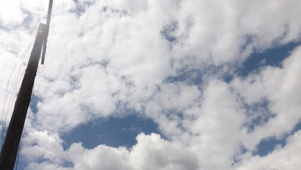 Ксения Кашко