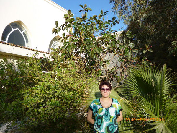 Любаша Абраева