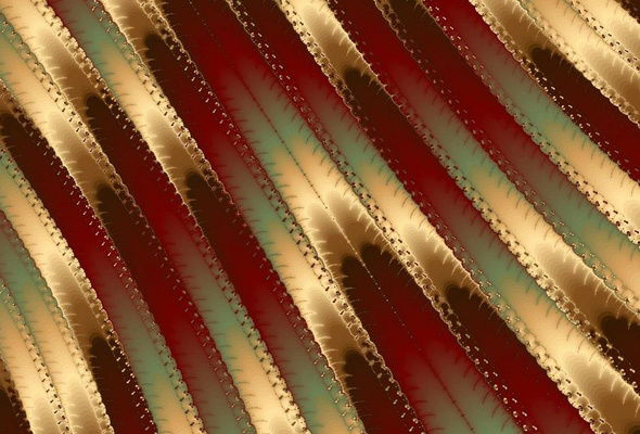 Алина Серых