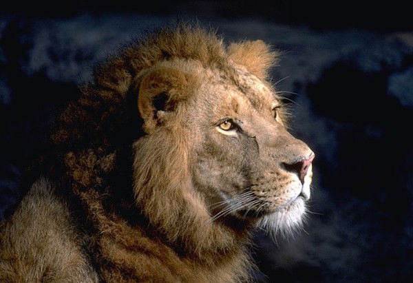 Хотамчон Гулов