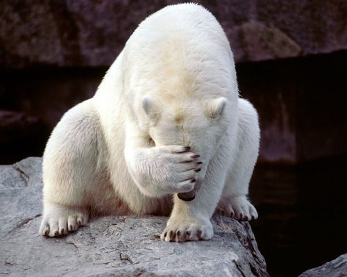 Один На Льдине