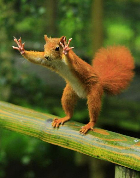 Вася Пупкин