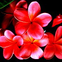 Бэла Валиева