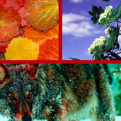 Эвилина Белоусова