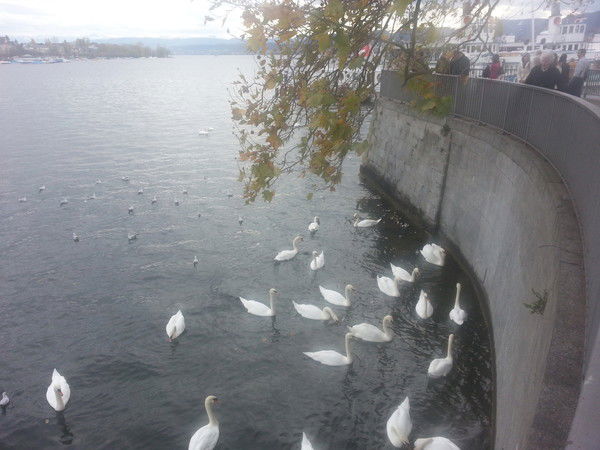 Роман Прокопьев