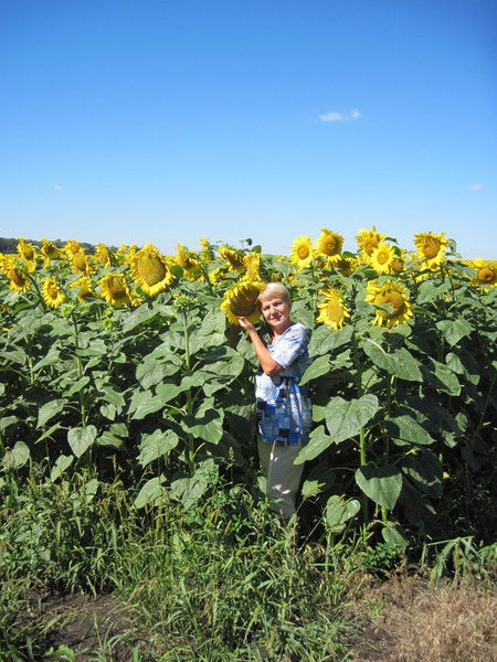 Елена Толстова